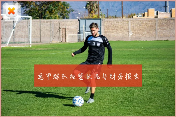 意甲球队经营状况与财务报告