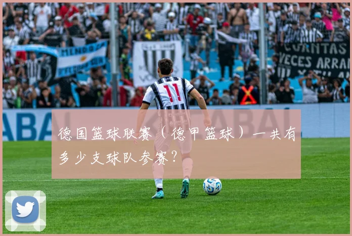 德国篮球联赛（德甲篮球）一共有多少支球队参赛？