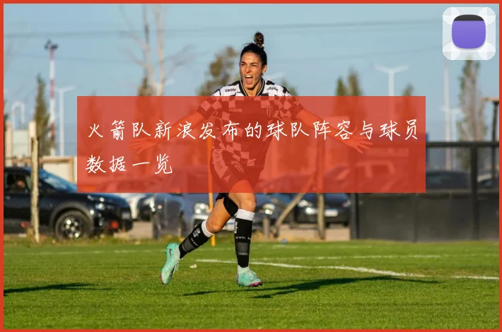 火箭队新浪发布的球队阵容与球员数据一览