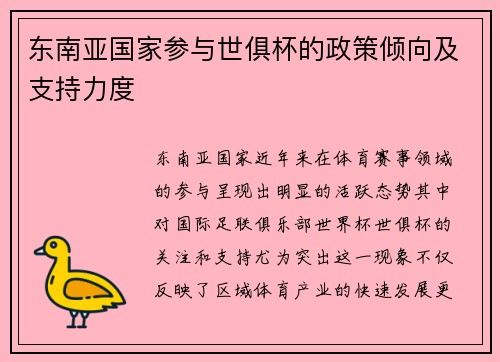 东南亚国家参与世俱杯的政策倾向及支持力度