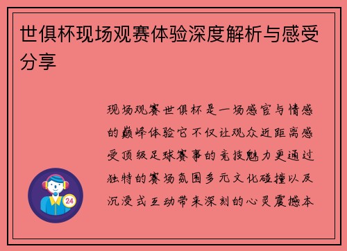 世俱杯现场观赛体验深度解析与感受分享